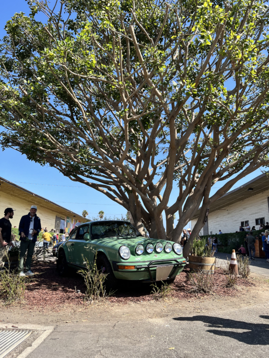 Custom Built 1984 911 Carrera parked under a tree